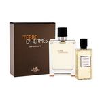 Hermes Terre D´Hermès darovni set toaletna voda 100 ml + gel za tuširanje 80 ml za muškarce