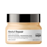 L'Oréal Professionnel Paris Serie Expert Absolut Repair Mask