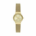 Sat Skagen Freja Lille SKW3110 Gold/Gold