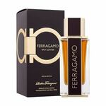 Salvatore Ferragamo Ferragamo Spicy Leather parfem 100 ml za muškarce